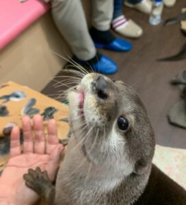 isuno_onna_kai_296063892_3939199219537697_8172610824236552387_n
